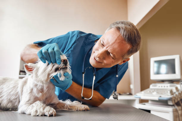 Best 24-Hour Emergency Dentist in Norwood, NC